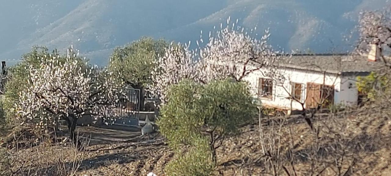 فيلا Cortijo Blanco Albondon المظهر الخارجي الصورة